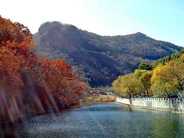 新澳天天开奖资料大全旅游团，兔子知不知道饥饱